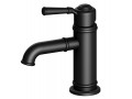Смеситель для раковины Timo Arisa 5361/03F черный1