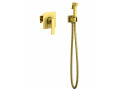 Смеситель встроенный с гигиеническим душем Timo Torne 4389/17SM золото матовое1