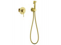 Смеситель встроенный с гигиеническим душем Timo Saona 2389/17SM золото матовое1